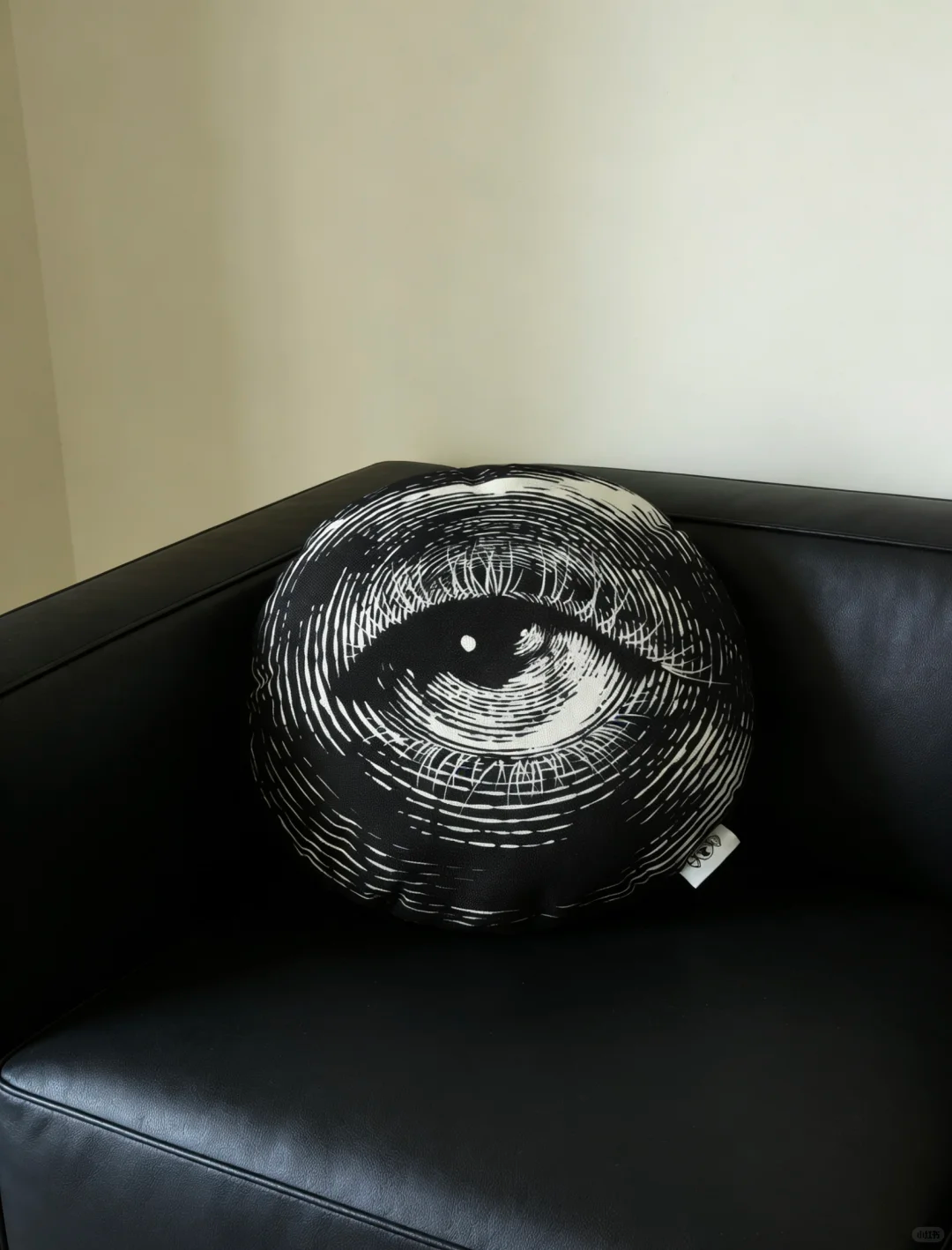 Mystic Eye Gothic Pillow